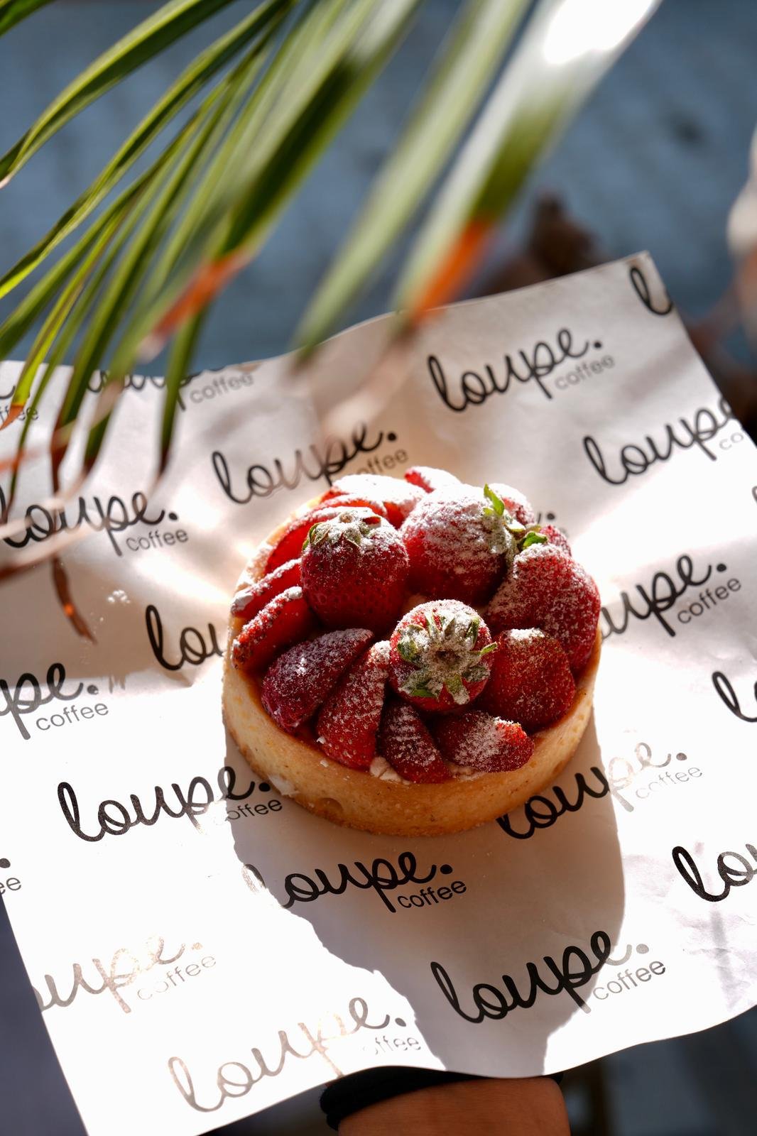 WhatsApp Image 2026-01-22 at 21.29.09 (1)